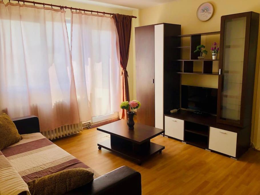 Joy City Stay Lucaciu 16 تيميشورا المظهر الخارجي الصورة